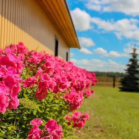 Kaeopesa Kodumajutus