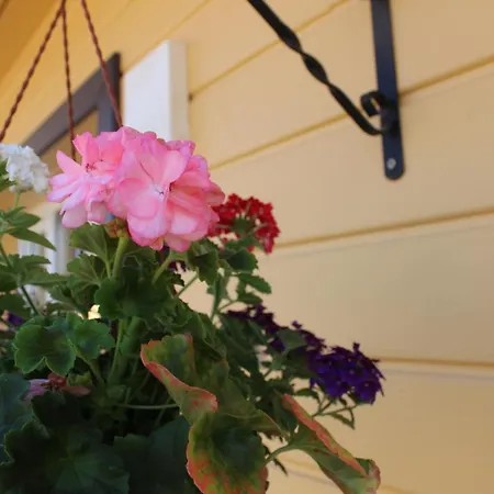 Kaeopesa Kodumajutus Põlva