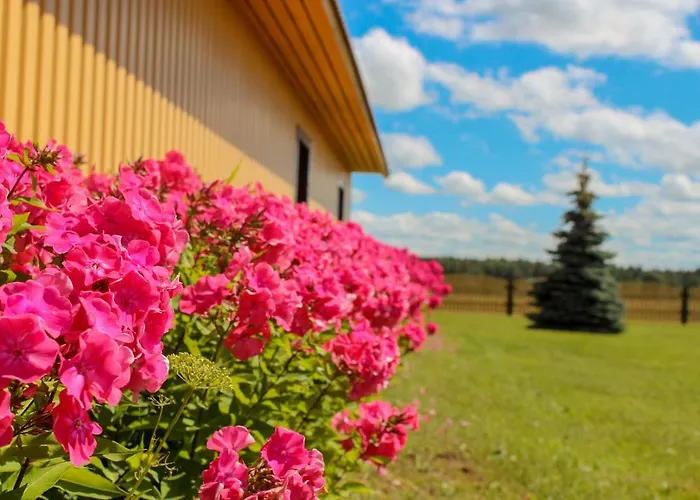 Kaeopesa Kodumajutus