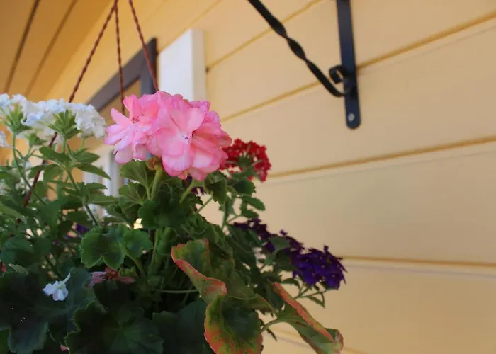 Kaeopesa Kodumajutus Põlva